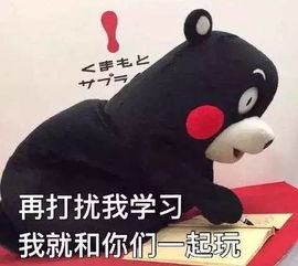 武汉4大新政7项免费9笔福利看完这个都要笑醒了