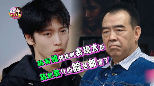 演员请就位陈宥维演毁甄嬛传其实早有征兆,看陈凯歌的表情就知道了
