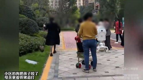 小区的狗把孩子咬了,母亲拿着铁锹追打