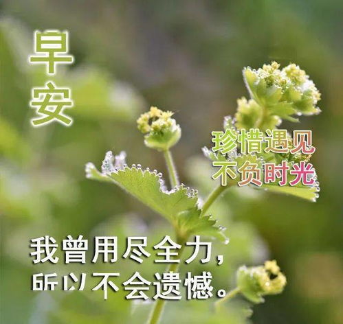 2021最新群发问候早上好图片带字动态表情暖心的冬天天冷早安图片带字带祝福语