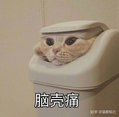 怎样才能养成水光肌谨记四不要就够了