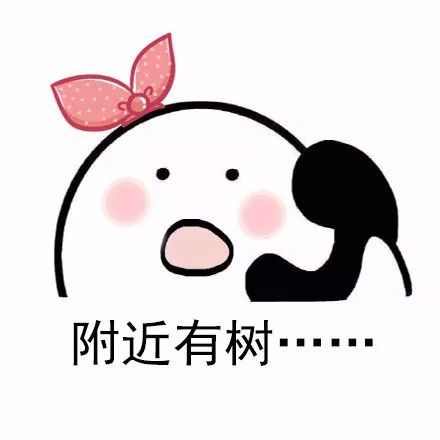 微信早上好表情包微信