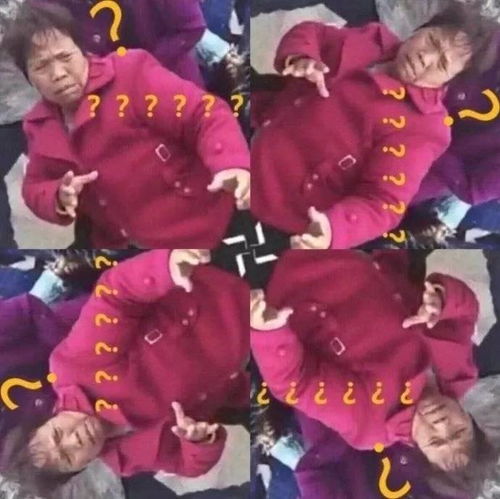 一创培训的春季高考升学率高么
