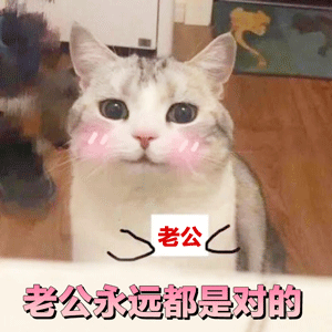 这么萌拿去哄老公他遭不住的