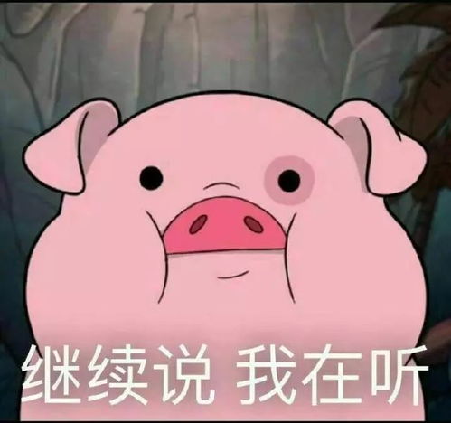 17年,我读过最好的9本书