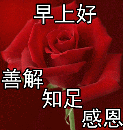 早安的微信表情包动图问候