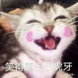 有什么适用于和老婆女票撒娇的可爱表情包