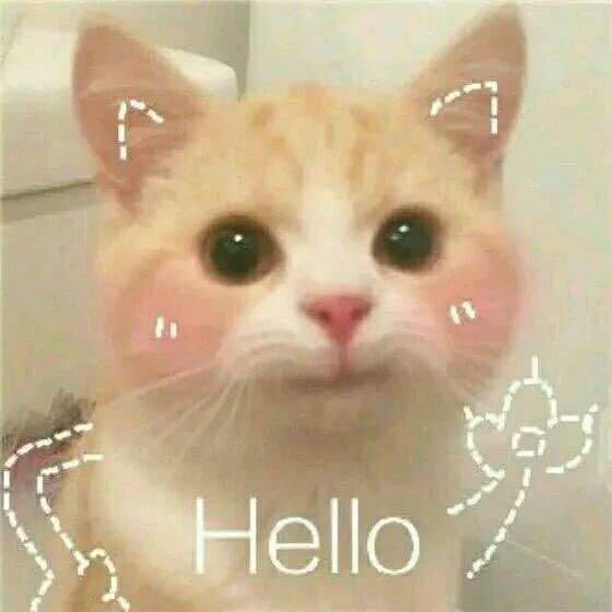 精神抖擞表情包熊猫眼问候