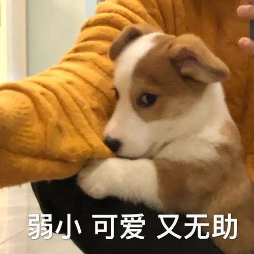 周冬雨易烊千玺恋情实锤我磕到真的了