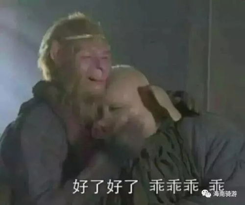 表情包乖守夜