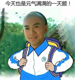 新少年宫明年启用,斥资20亿新建改建的24所学校牛上天
