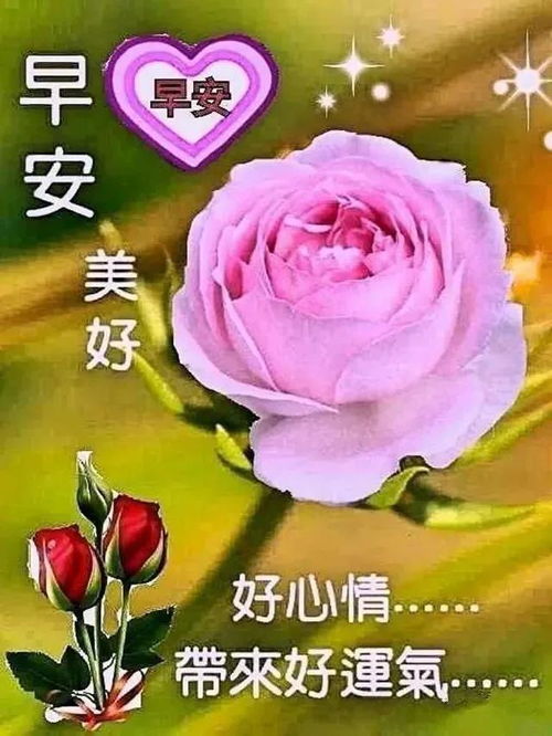 周二天冷早安问候祝福语短信大全,星期二微信早上好问候表情图片