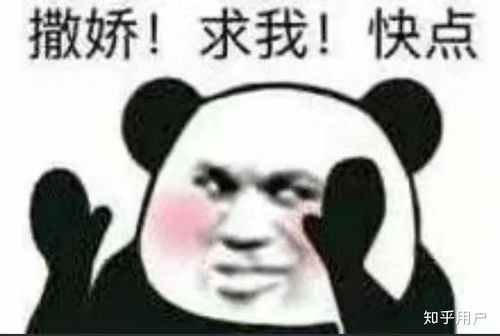 超污撩女朋友表情包名牌包包