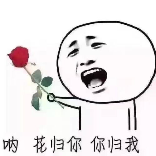 情侣互撩套路表情包小恩爱