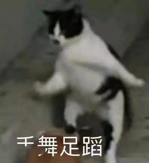 早安小可爱表情包早安