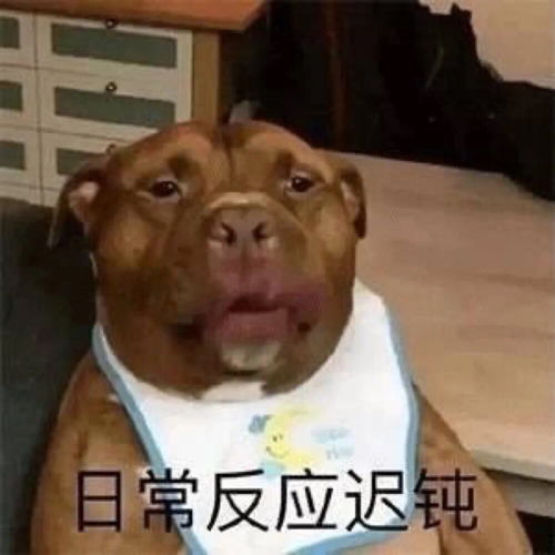 女朋友太可爱是什么体验原来是爱用高糊可爱表情包