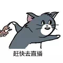 5g8kvr带你去现场见爱豆