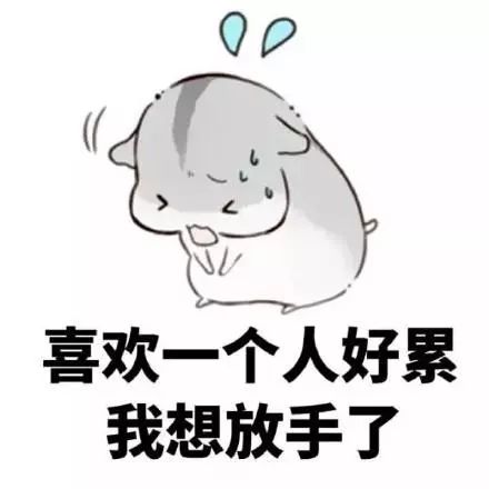 微信表情包喜欢一个人的全过程,真的可爱又心酸