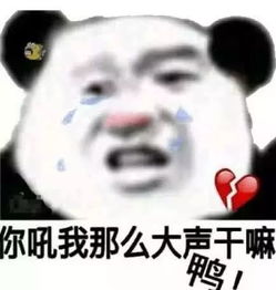 假如我追你,成功率是多少