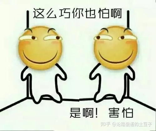 俄罗斯征服最多高楼的小姐姐,这勇气让人望尘莫及