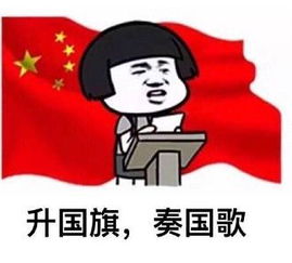 升国旗礼毕表情包图片