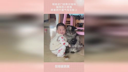 萌娃进门就教训猫咪,猫咪的小表情,就差把不服气写在脸上