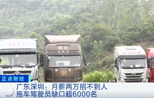 月薪两万包吃住竟没人爱干,卡车司机招工咋这么难