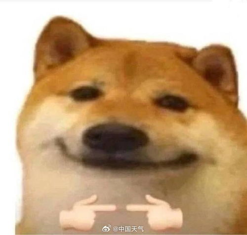 重庆断崖式降温你准备好了吗