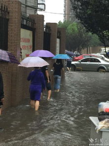暴雨中的前行者致敬武汉人的上班精神