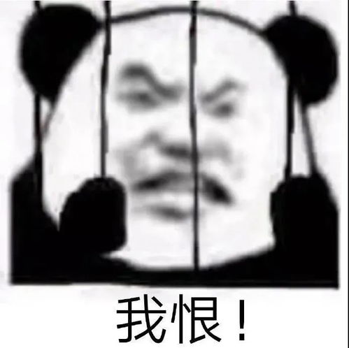 表情包丨表情包动图开车0621期