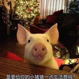 双十一生存指南怎样安全度过一个不剁手的双十一