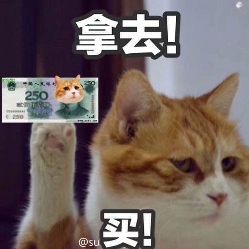 kindle值得拥有吗