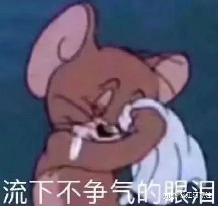 我要出去玩了的表情包猪猪