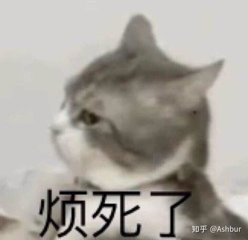 有没有适合男朋友给大姨妈期间女朋友发的表情包