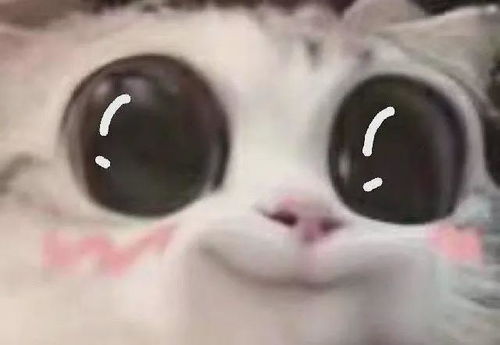 张玲医生眼部整形手术有哪些项目
