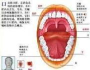 东莞健力口腔医院