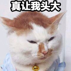 表情包你现在撤回还来得及