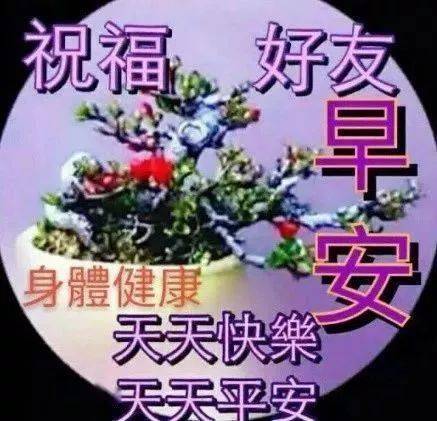 清晨问候早上好的微信表情图片大家早上好表情图片