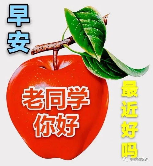 早上好动画表情问候