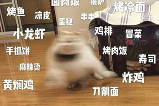 救命表情包图片郑渊洁