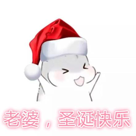 仓鼠圣诞节表情包合集老婆圣诞快乐