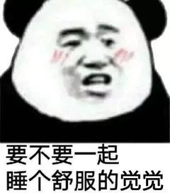 你个渣渣还想追我