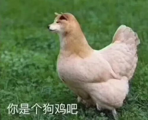 虽然我单身,但我每天都有一百次出轨的机会