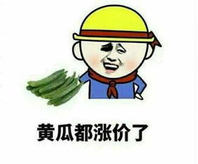 原材料人工费蹭蹭往上涨,年底定装修,今年的价格明年装