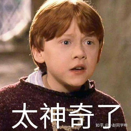太可爱,哈利波特之罗恩表情包头像大集锦