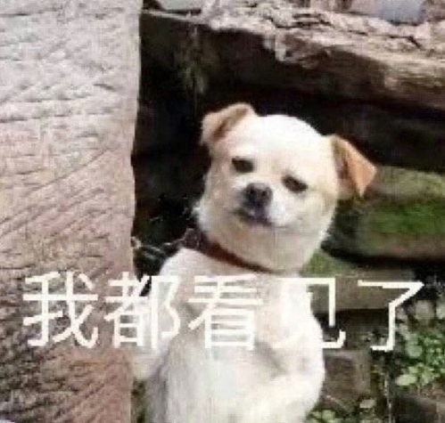 男子偷40个奔驰车标想打银手镯4s店不锈钢的,每个3000元