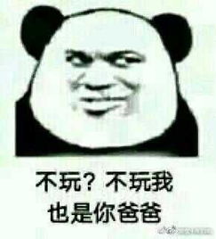 求最近一组搞笑的斗图成语接龙我是你爸爸