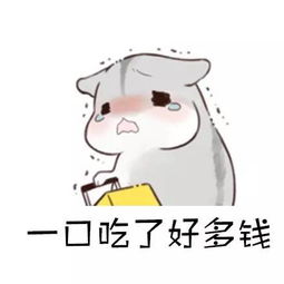 这餐盒镀了金成都网友手机点外卖,四个餐盒要396元