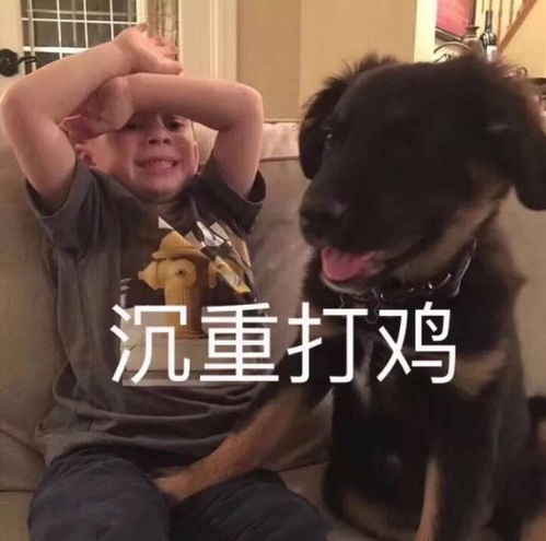 我凭本事单的身,干嘛要理你哈哈哈哈哈哈哈哈哈哈
