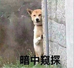 车险8月1日将涨价,赶紧联系我贵阳的你被这条消息骗了吗